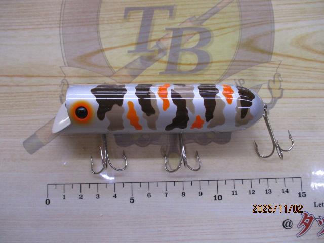 ｷﾝｸﾞｼﾞﾑﾀﾞﾃﾞｨ