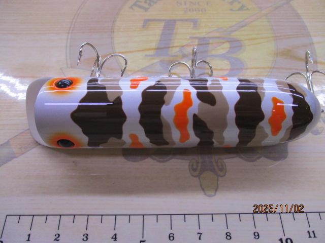 ｷﾝｸﾞｼﾞﾑﾀﾞﾃﾞｨ