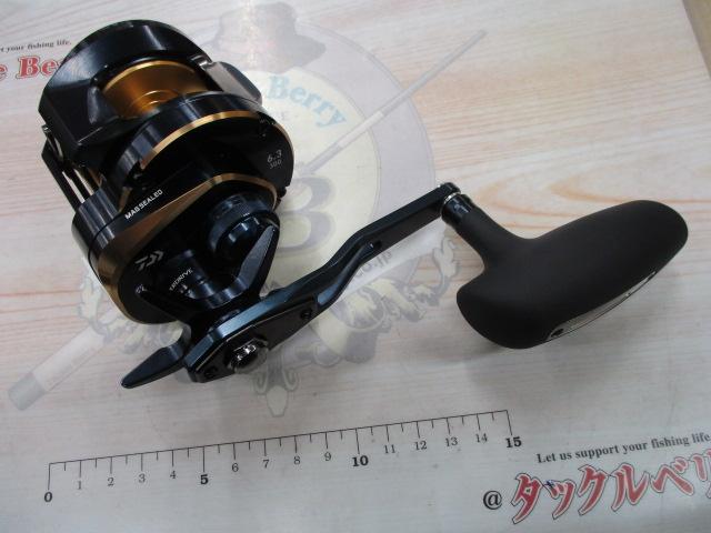 25ｿﾙﾃｨｶﾞ 300L