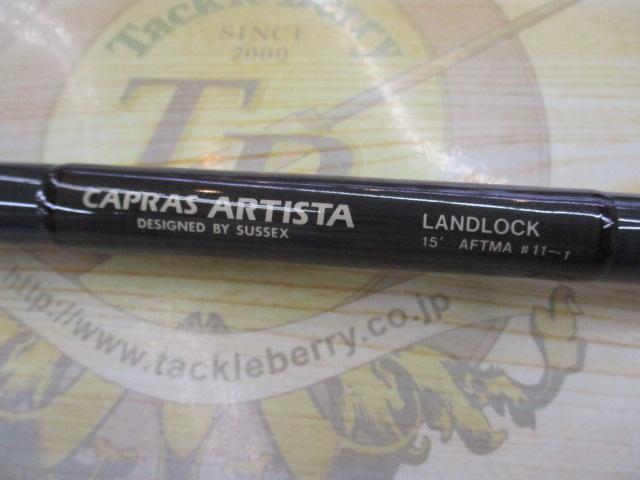 カプラスアルティストランドロック15'11-12