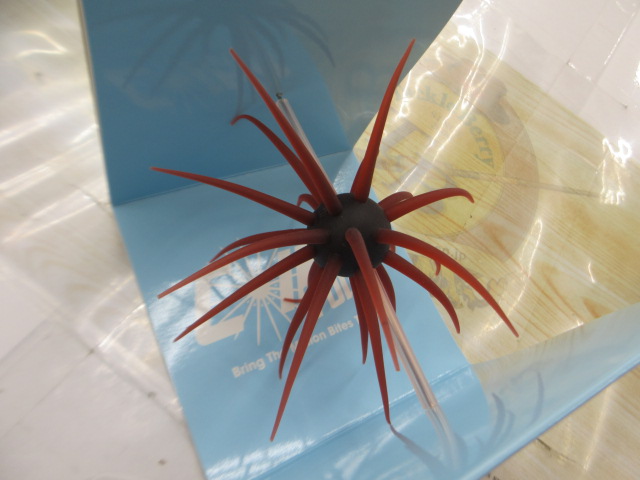 【ｾｯﾄ商品】【ﾊｲﾄﾞｱｯﾌﾟ】ｺｲｹ2点ｾｯﾄ