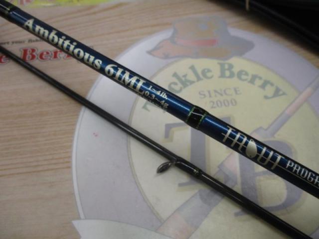 トラウトプログラムアンビシャス 61ML