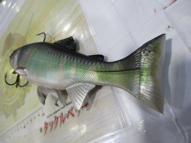 レイジースイマー9"3Dリアリズム#S-5103DR婚姻ハス♂