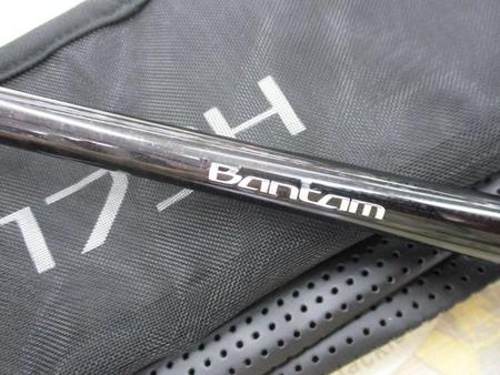 ﾊﾞﾝﾀﾑ 173H