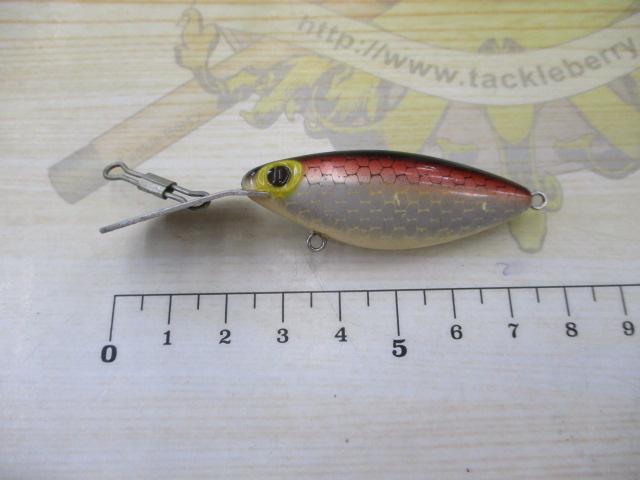 ホッテントット