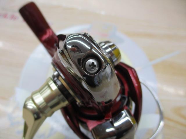 17月下美人EX 1003