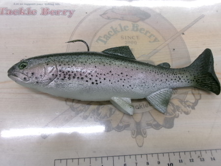 ﾊﾄﾞﾙｽﾄﾝ 8