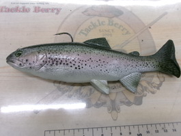 ﾊﾄﾞﾙｽﾄﾝ 8