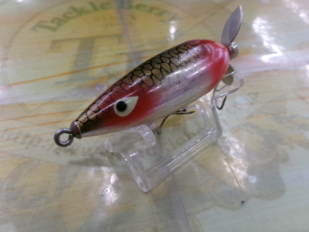 ﾍﾄﾞﾝ　ﾍﾞﾋﾞｰｻﾞﾗ　ﾊﾞｯｸﾜｰﾄﾞ