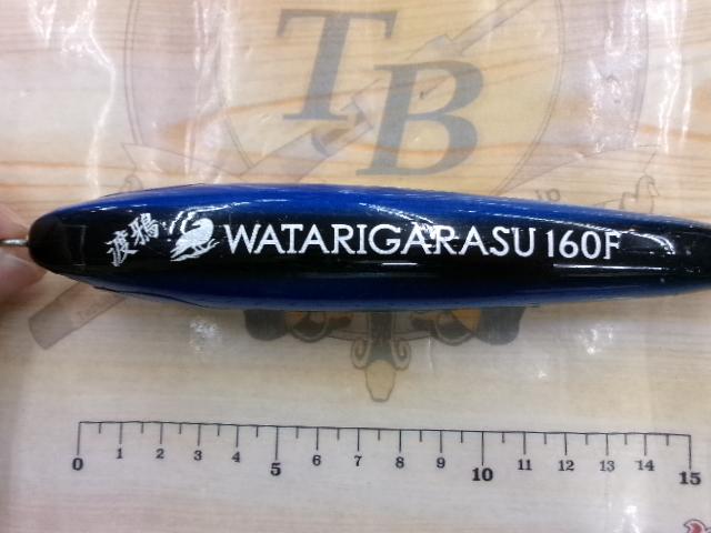 ﾜﾀﾘｶﾞﾗｽ160F