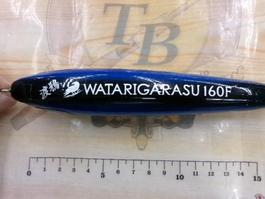 ﾜﾀﾘｶﾞﾗｽ160F