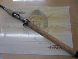 ﾌｧｲﾅﾙﾃﾞｨﾒﾝｼｮﾝTS 172H