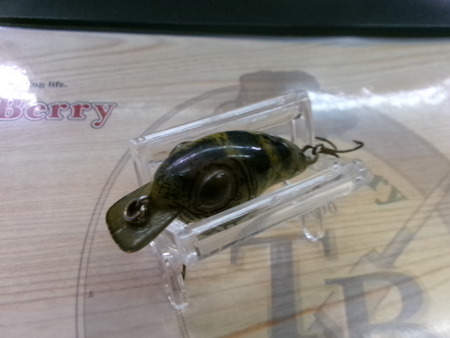 ﾎﾟｯﾌﾟｱｲ　ﾍﾄﾞﾝ