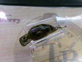 ﾎﾟｯﾌﾟｱｲ　ﾍﾄﾞﾝ