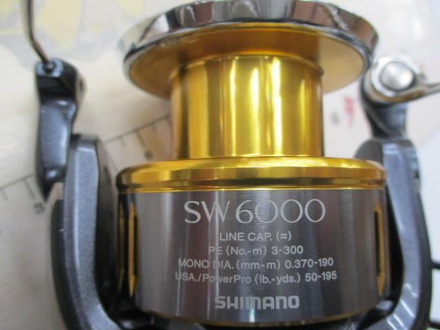 15ﾂｲﾝﾊﾟﾜｰSW 6000HG