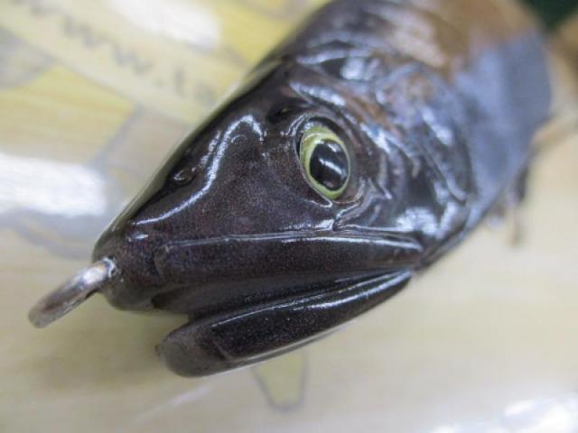 鮎邪 ｼﾞｮｲﾝﾃｯﾄﾞｸﾛｰ178