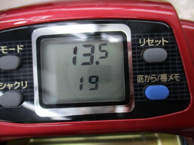 ｼｰﾎﾞｰｸﾞﾌﾞﾙ 1000