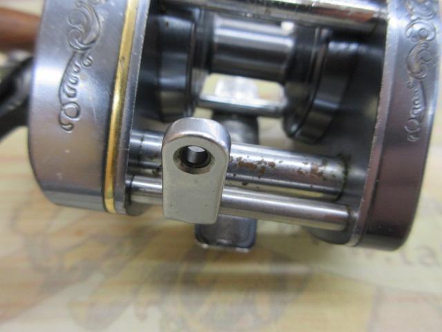 ﾊﾞﾝﾀﾑ 100EX