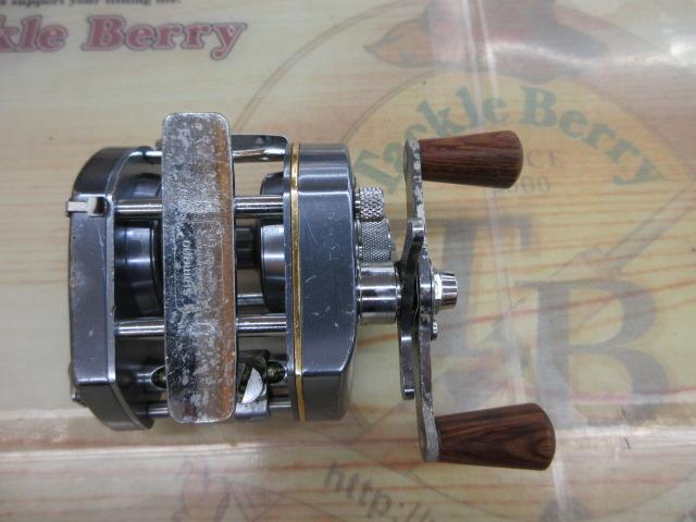 ﾊﾞﾝﾀﾑ 100EX