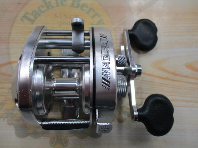 ﾊﾞﾝﾀﾑﾏｸﾞｷｬｽﾄ 100SG