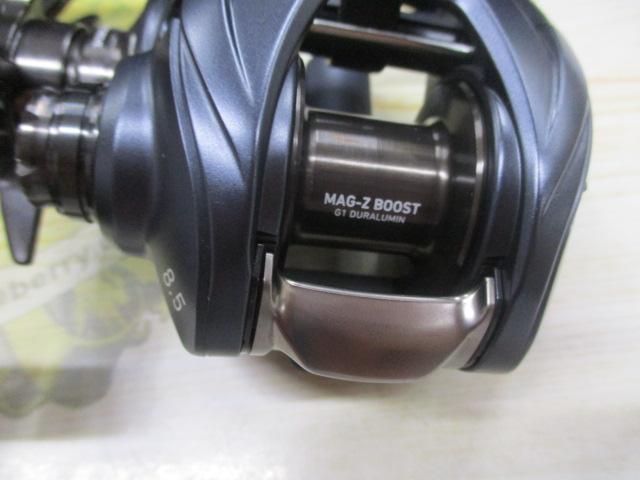 ｽﾃｨｰｽﾞ AⅡ TW 1000XHL