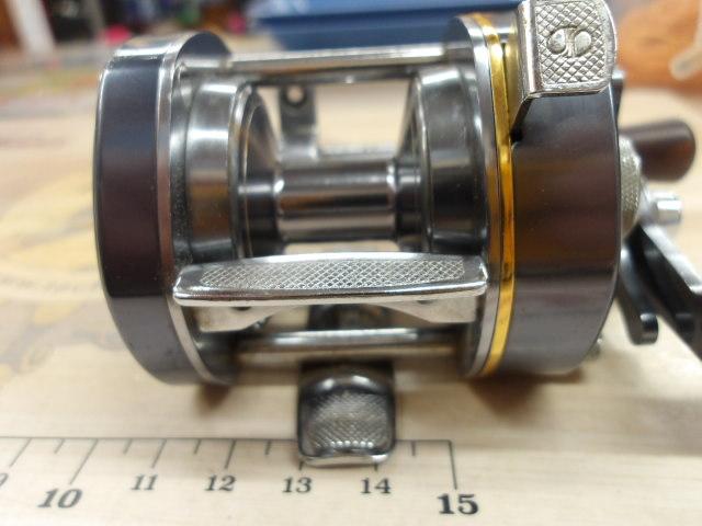 ﾊﾞﾝﾀﾑ 100EX