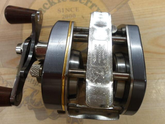 ﾊﾞﾝﾀﾑ 100EX