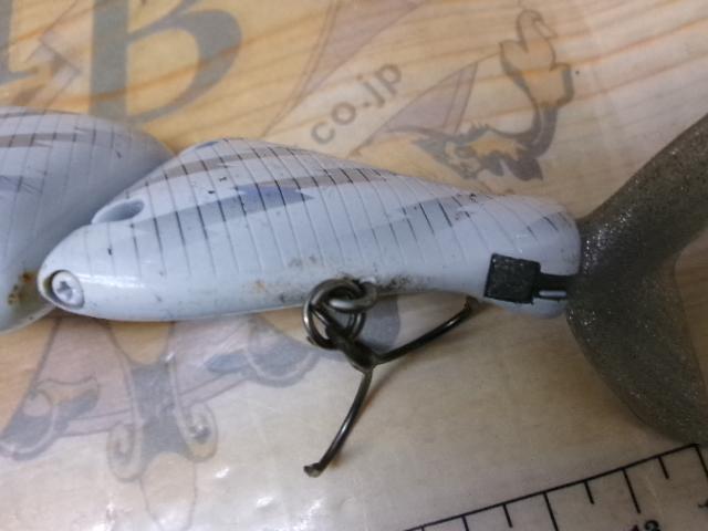 ﾀｲﾆｰｸﾗｯｼｭ