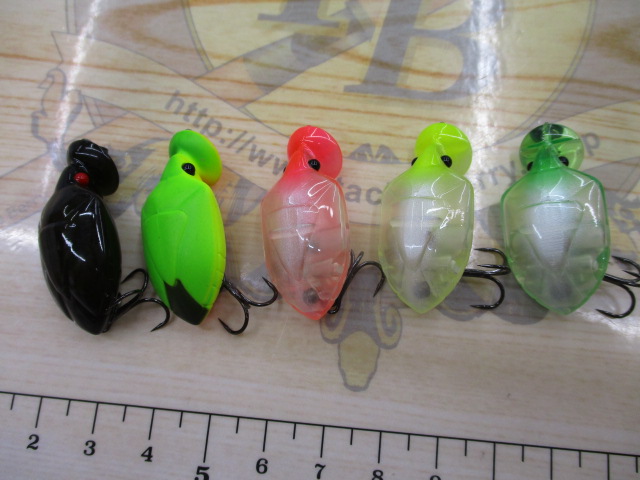 【ｾｯﾄ商品】ｽﾐｽ　亀主ﾊﾞｸ　5個