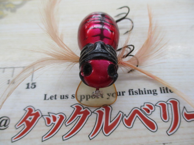 ｼﾞｬｯｶﾙ ﾊﾏｸﾙｽﾊﾟｲﾀﾞｰ