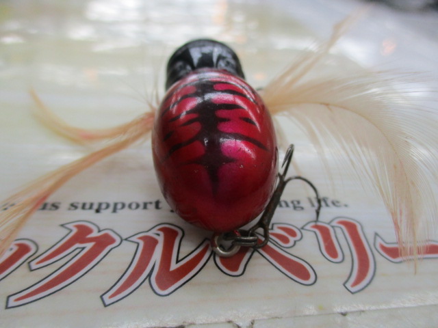 ｼﾞｬｯｶﾙ ﾊﾏｸﾙｽﾊﾟｲﾀﾞｰ