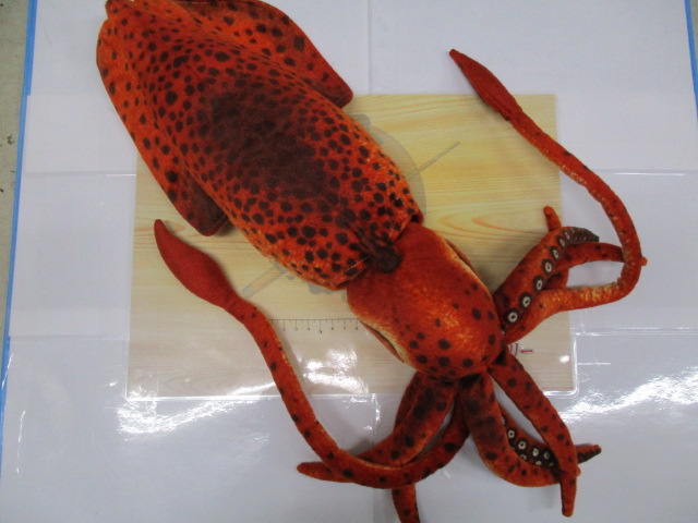 ★希少★あわび本舗のｲｶ型のｸｯｼｮﾝ