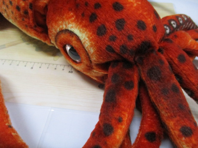 ★希少★あわび本舗のｲｶ型のｸｯｼｮﾝ