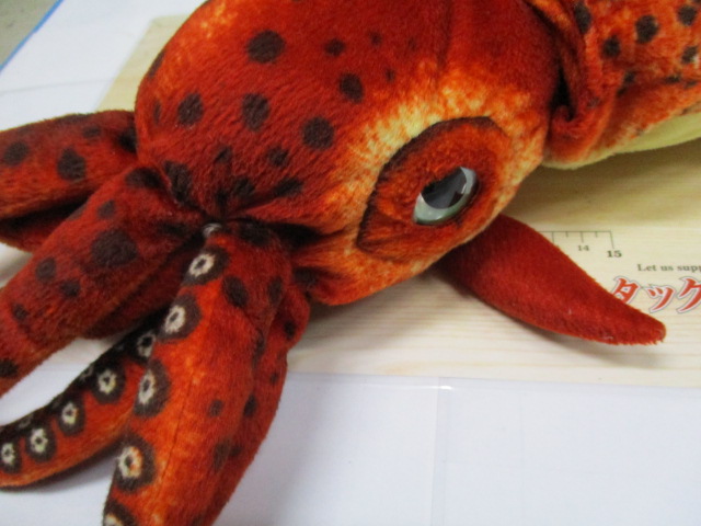 ★希少★あわび本舗のｲｶ型のｸｯｼｮﾝ