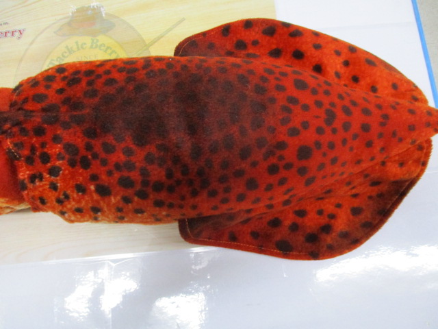 ★希少★あわび本舗のｲｶ型のｸｯｼｮﾝ