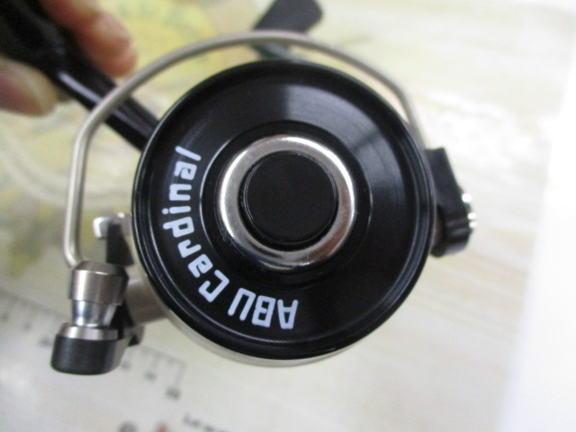 カーディナル 33X タン/ブラウン DAYSPROUT別注