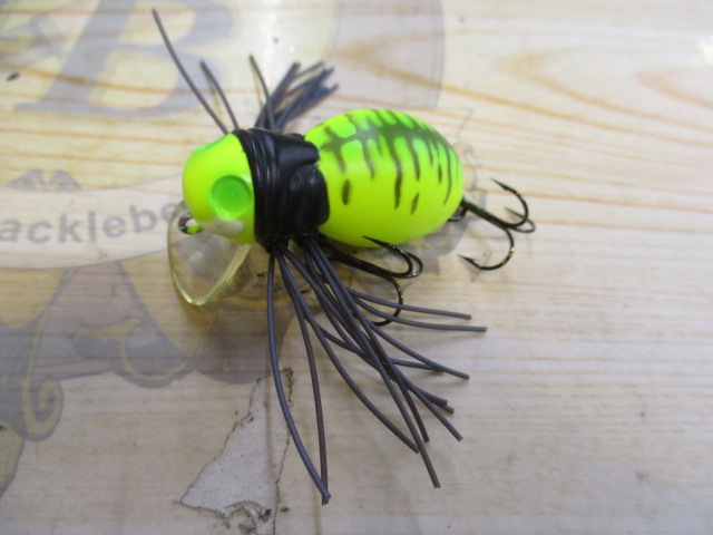 ﾊﾏｸﾙｽﾊﾟｲﾀﾞｰ!!