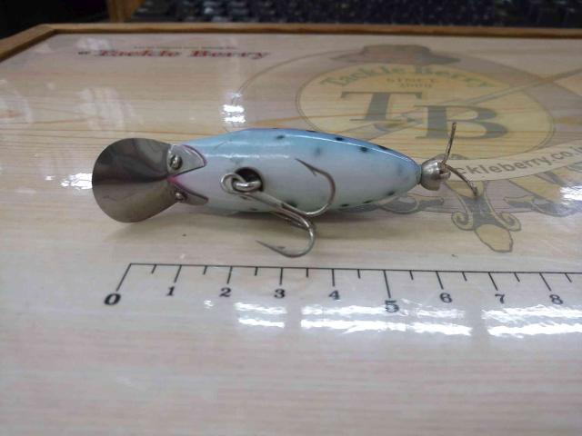 ｼｬﾝｸﾉｰｽﾞ