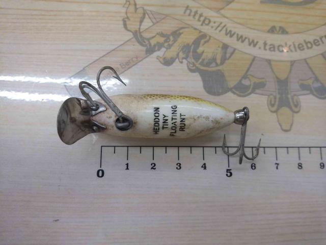 ﾀｲﾆｰﾗﾝﾄ