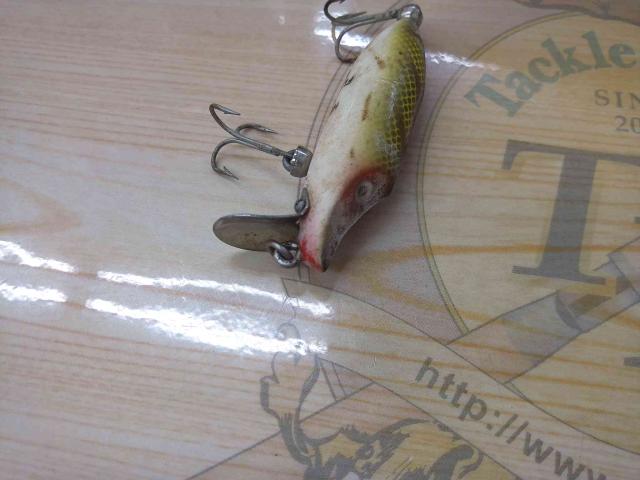 ﾀｲﾆｰﾗﾝﾄ