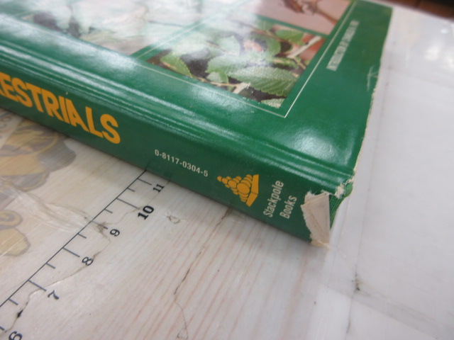 【ｾｯﾄ商品】ﾌﾗｲ関連洋書ｾｯﾄ