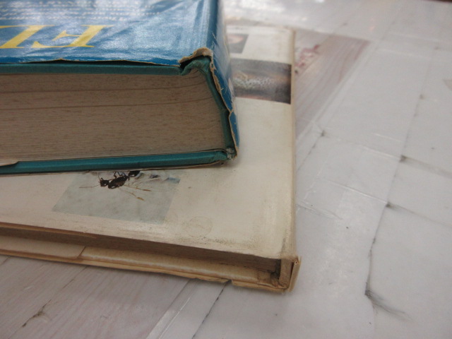 【ｾｯﾄ商品】ﾌﾗｲ関連洋書ｾｯﾄ