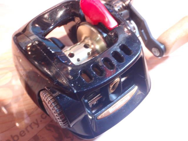 ｶﾊﾞｰﾊｯｷﾝｸﾞ 10CHL