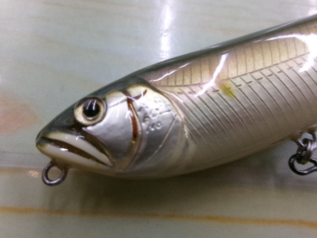 ﾄﾞﾘｰﾑﾗｯｼｭ