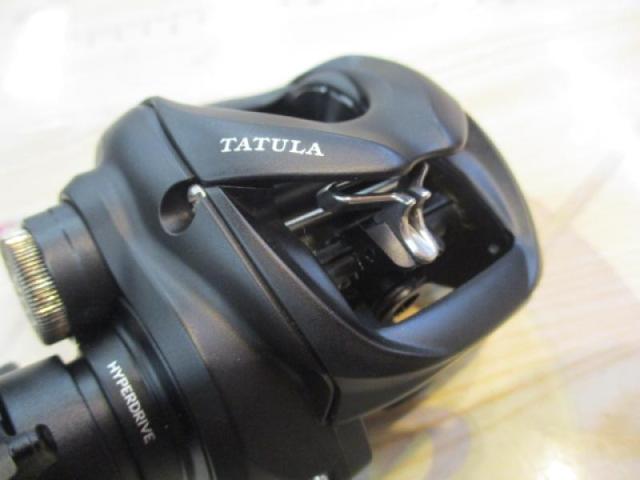 24ﾀﾄｩｰﾗ TW 100