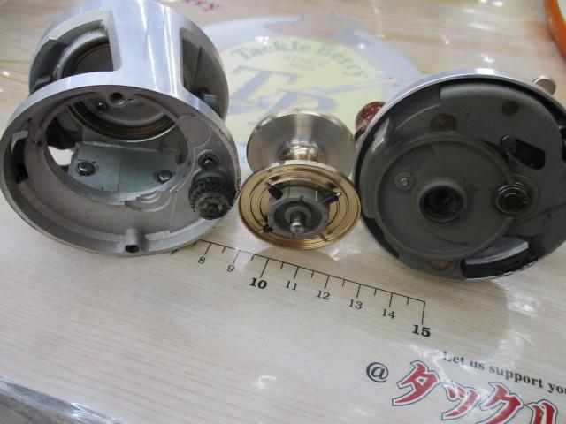 ｾﾞﾌﾞｺﾘｰﾙ