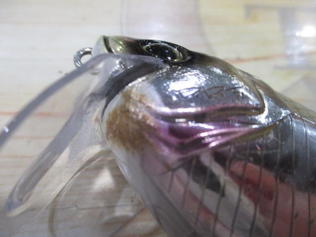 ﾀｲﾆｰｸﾗｯｼｭ