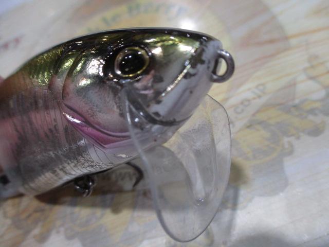 ﾀｲﾆｰｸﾗｯｼｭ