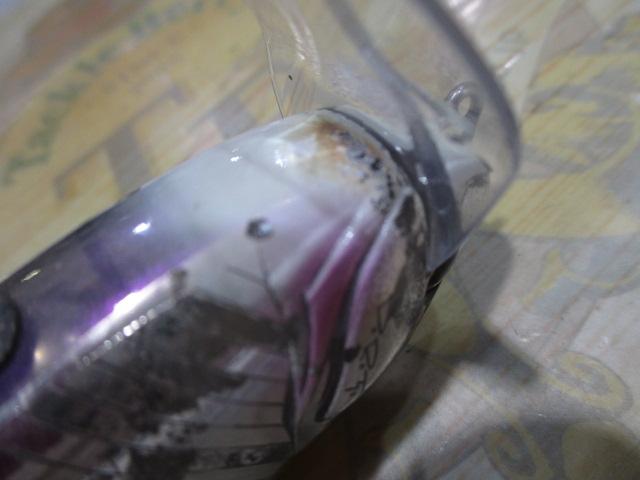 ﾀｲﾆｰｸﾗｯｼｭ