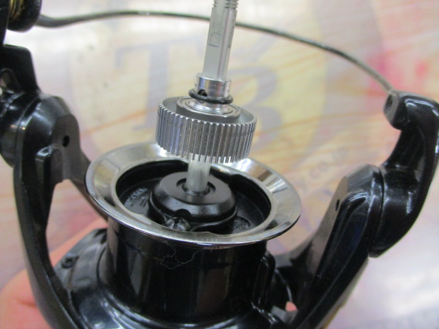 19ｳﾞｧﾝｷｯｼｭ 2500SHG